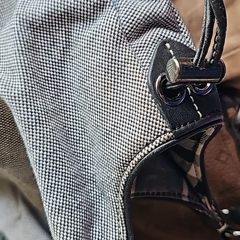 BURBERRY HOBO BAG - Picture 10 of 12